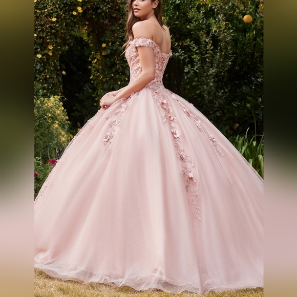 Prom dress - Picture 4 of 12